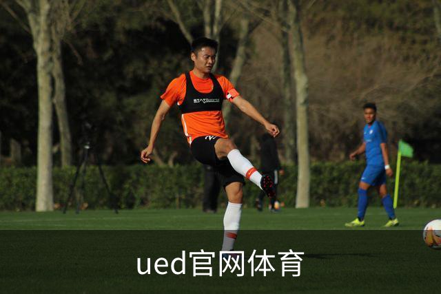 ued官网体育公司介绍图片